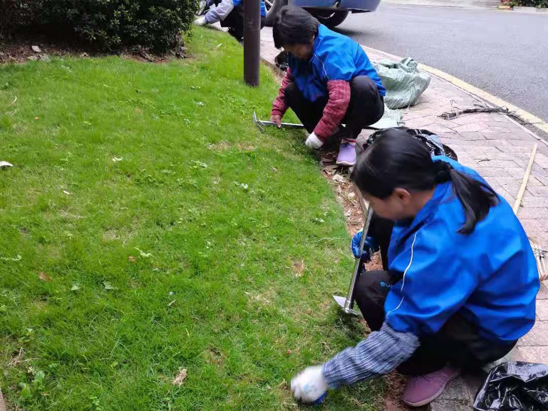 綠化養(yǎng)護草坪的春季管理
