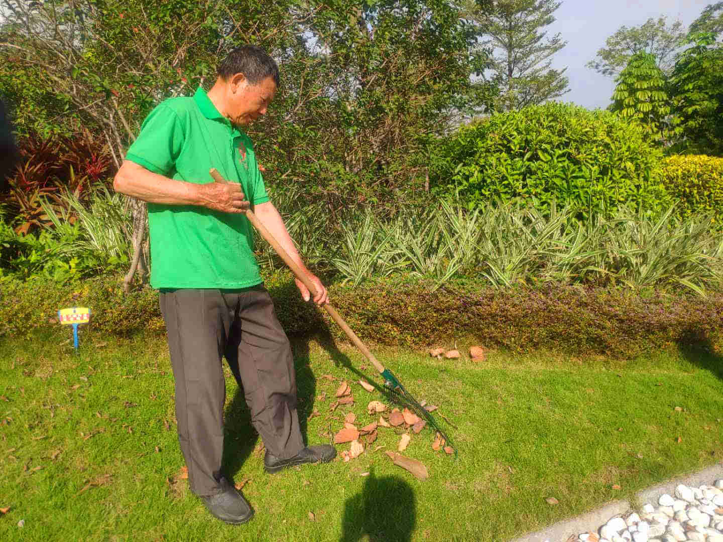 小區(qū)綠化養(yǎng)護(hù)