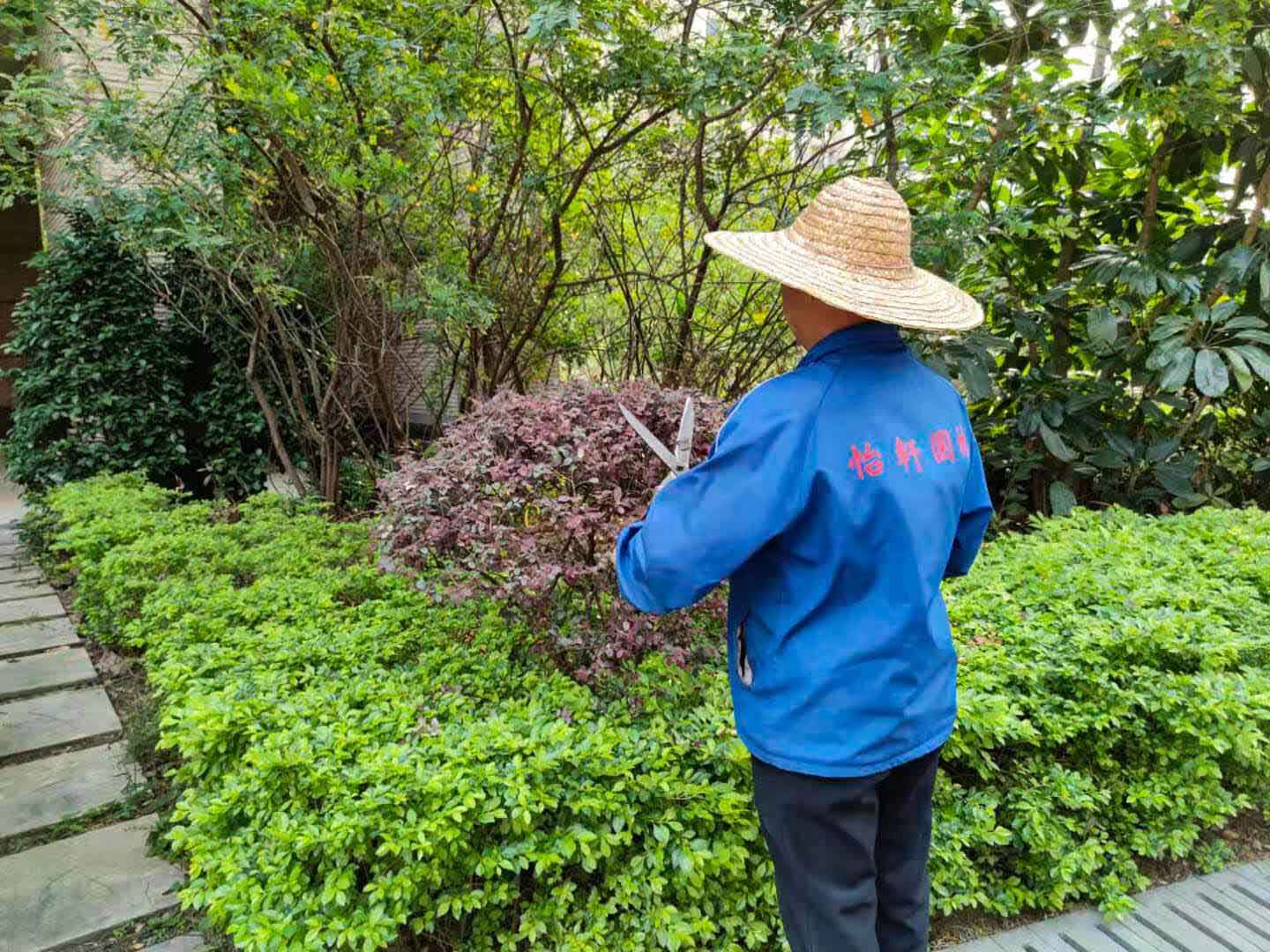 怡軒園林綠化公司對小區(qū)綠化進(jìn)行修建