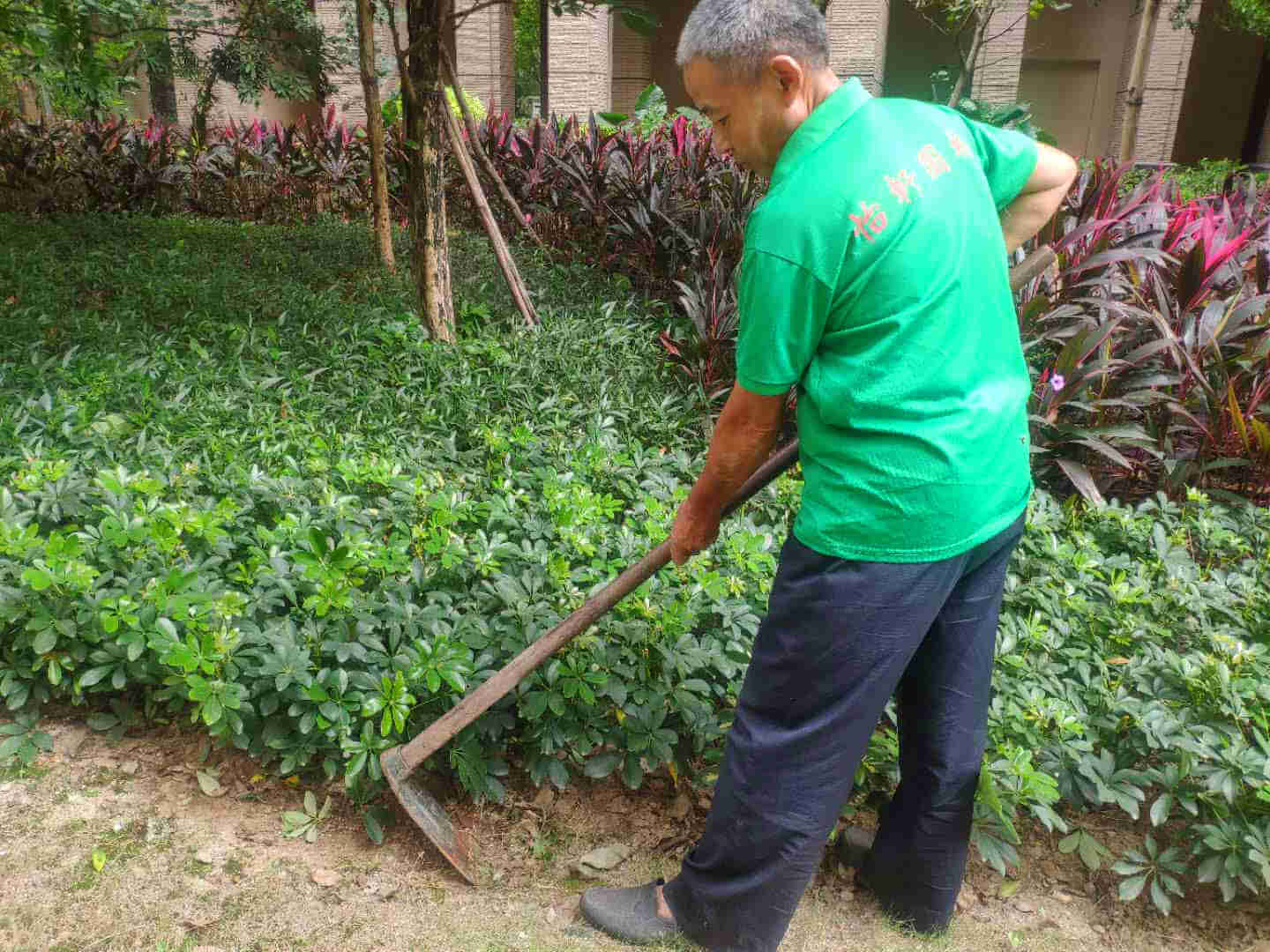 綠化工人正在松土