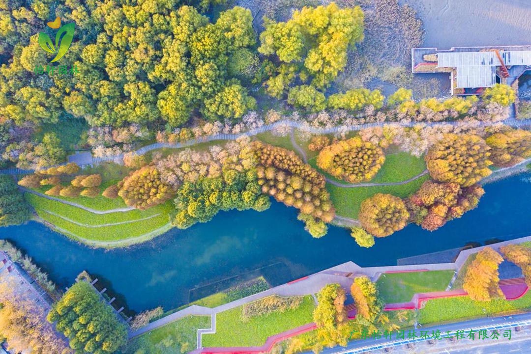 上海世博后灘公園景觀設(shè)計改造案例效果圖