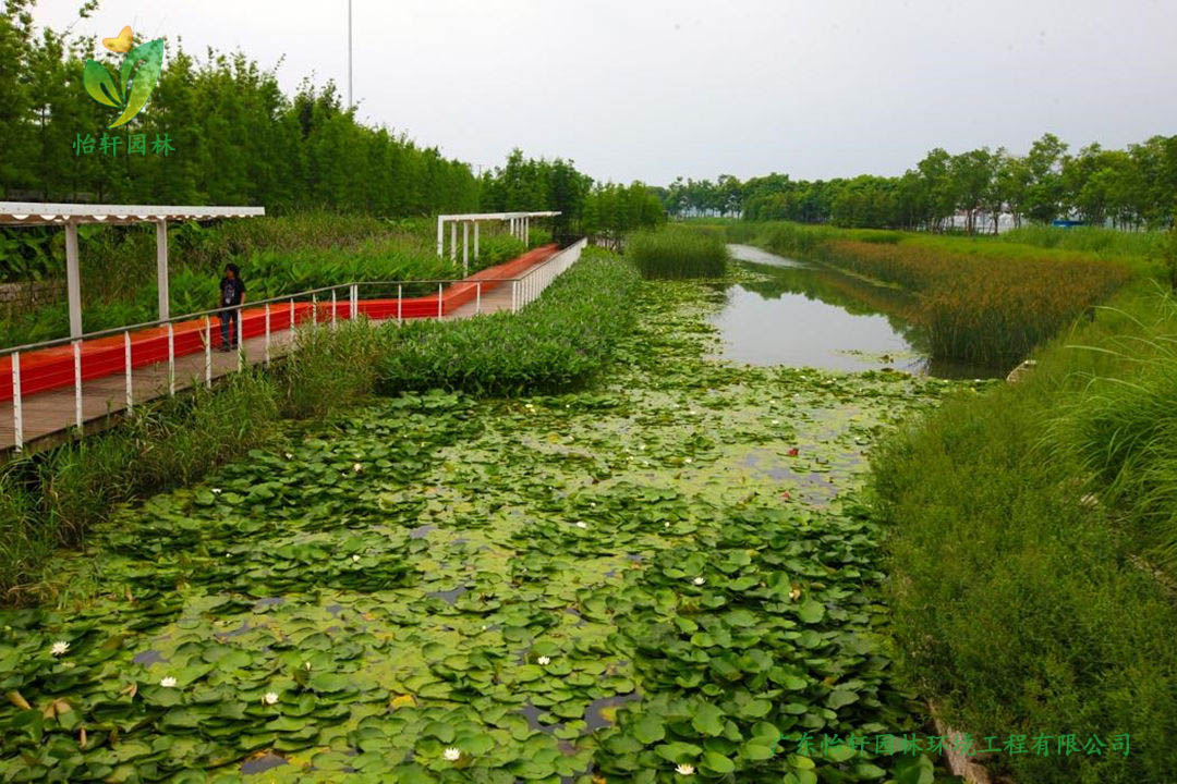 上海世博后灘公園景觀設(shè)計改造案例效果圖