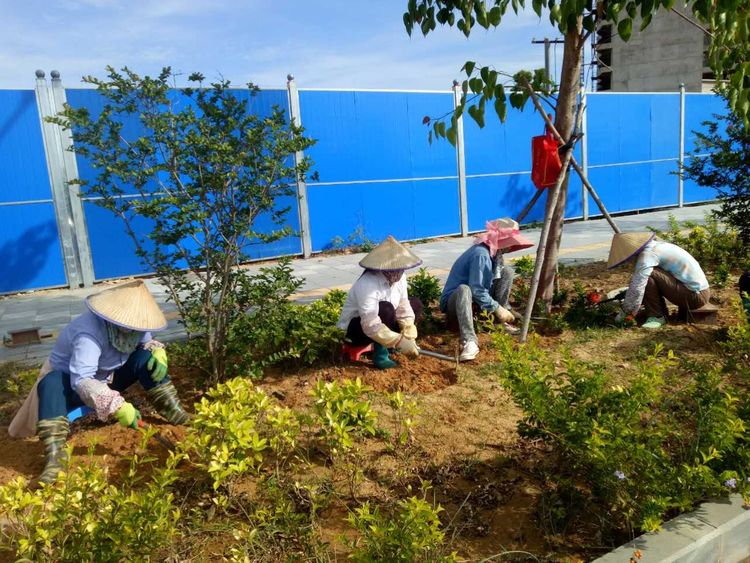 怡軒園林綠化公司工人正在進(jìn)行種植作業(yè)