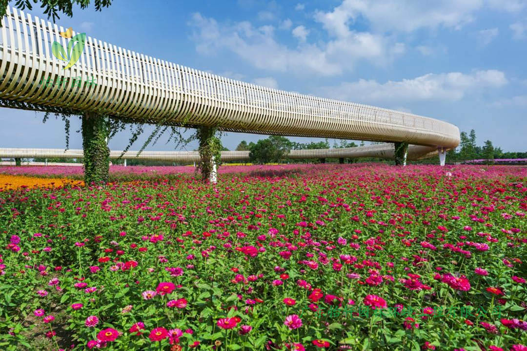 宿遷三臺(tái)山森林公園衲田花海景觀設(shè)計(jì)效果圖