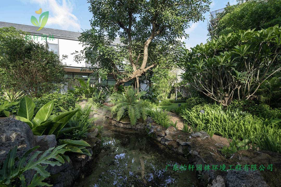 ?？诒＠_(tái)達(dá)熱帶花園景觀設(shè)計(jì)效果圖