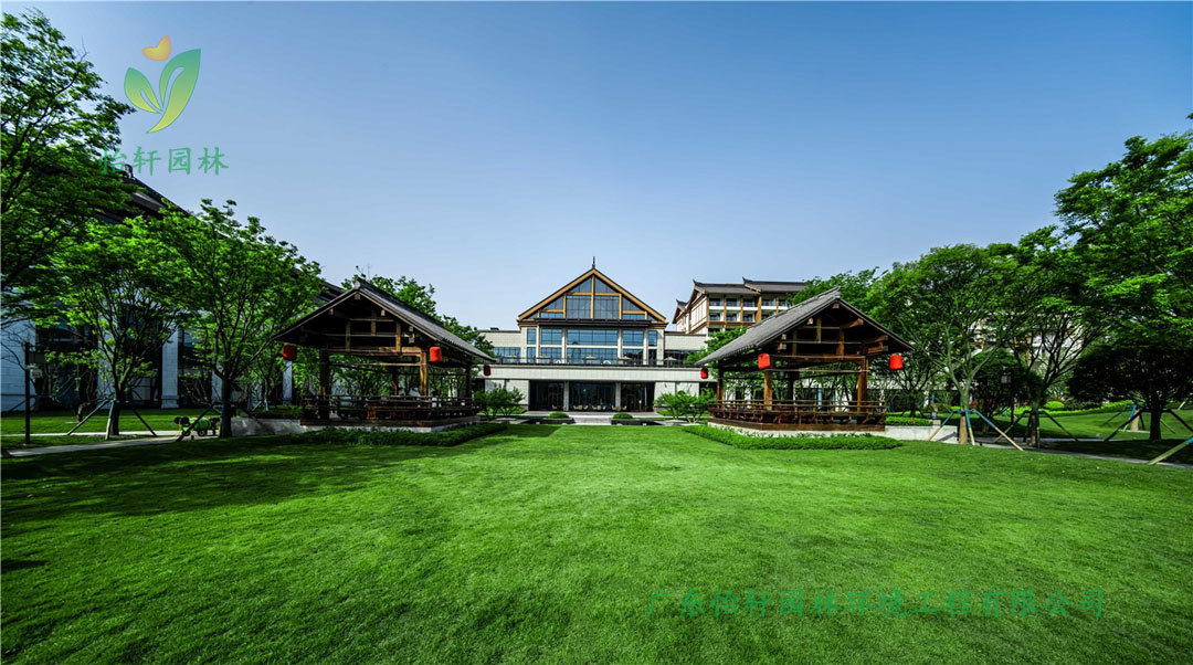 重慶融創(chuàng)文旅城酒店綠化工程實景圖
