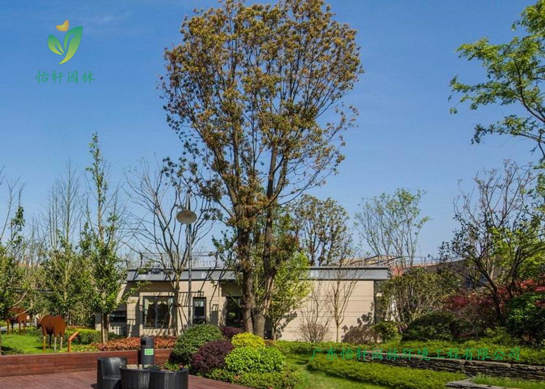 萬科魅力之城小區(qū)公園綠化工程實景圖