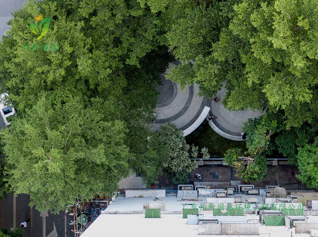 東山少爺南廣場社區(qū)公園綠化工程實(shí)景圖