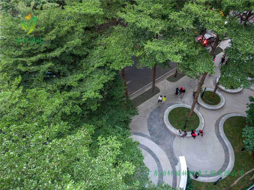 東山少爺南廣場社區(qū)公園綠化工程實(shí)景圖