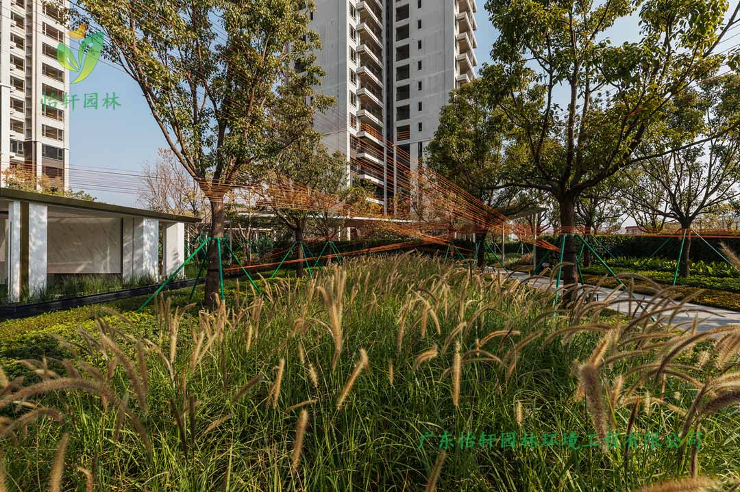雅居樂香港城住宅區(qū)綠化景觀設計實景圖