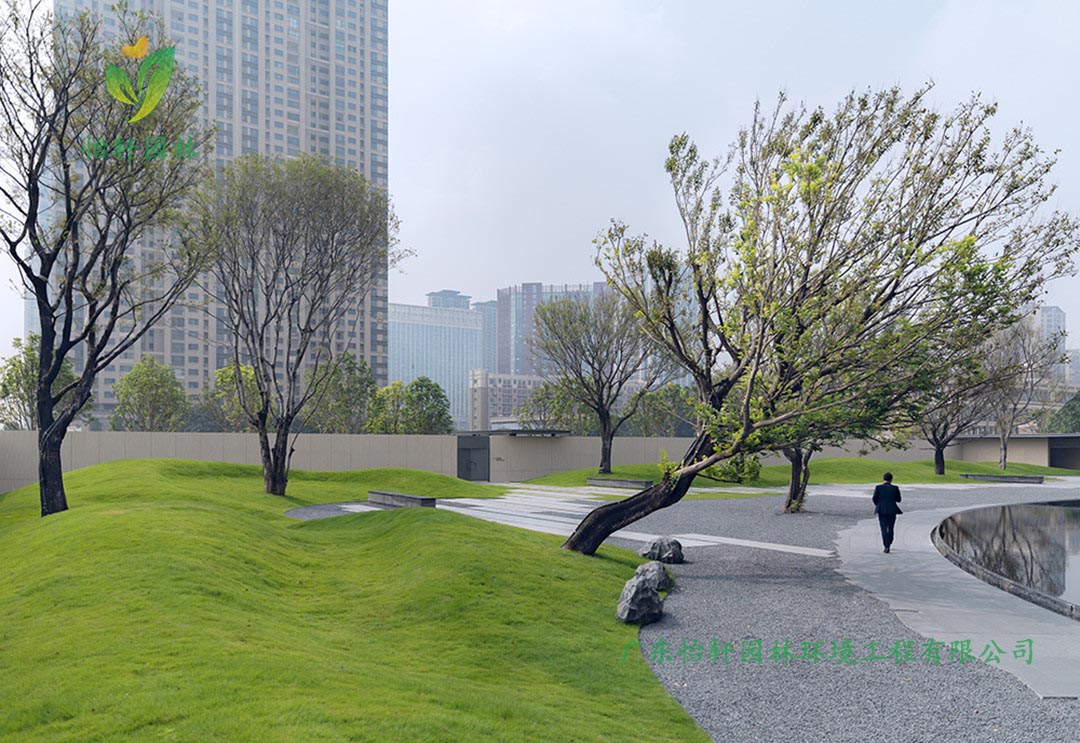 佛山市南海區(qū)良溪保利天悅小區(qū)綠化工程實景圖