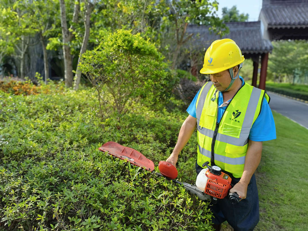 小區(qū)綠化養(yǎng)護修剪