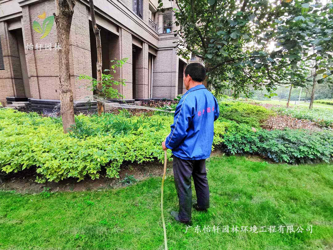 綠化養(yǎng)護澆水要求