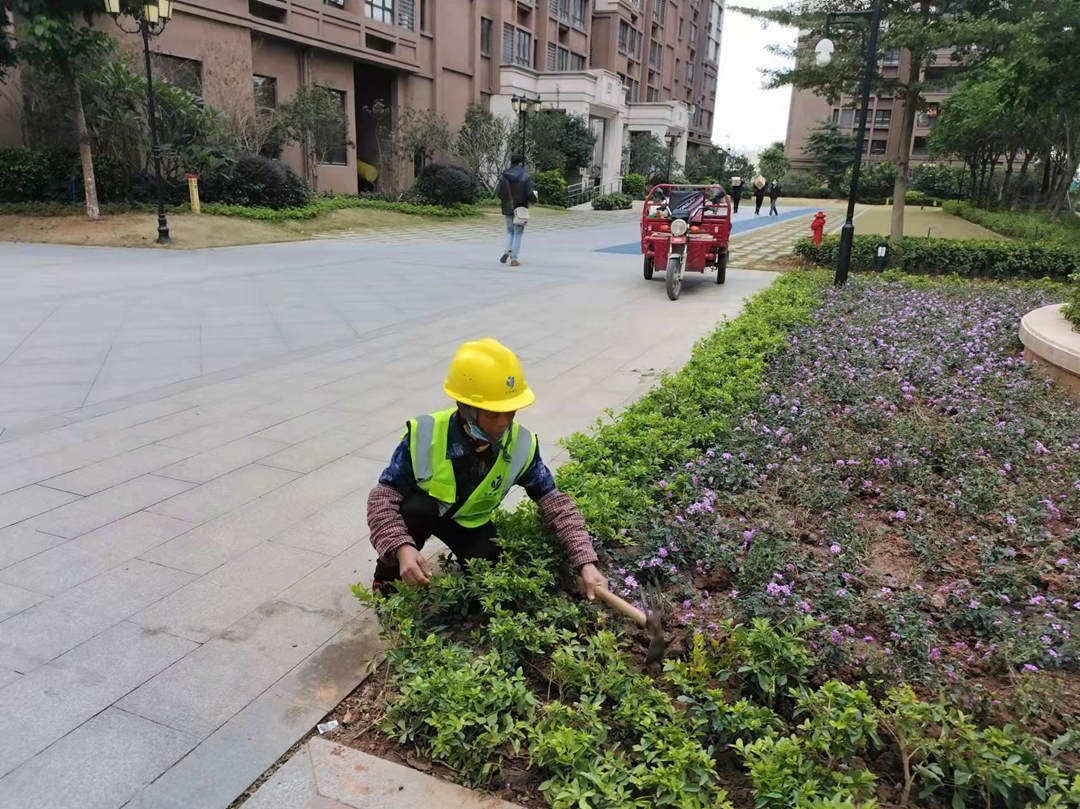 園林綠化公司工人正在補(bǔ)栽植物