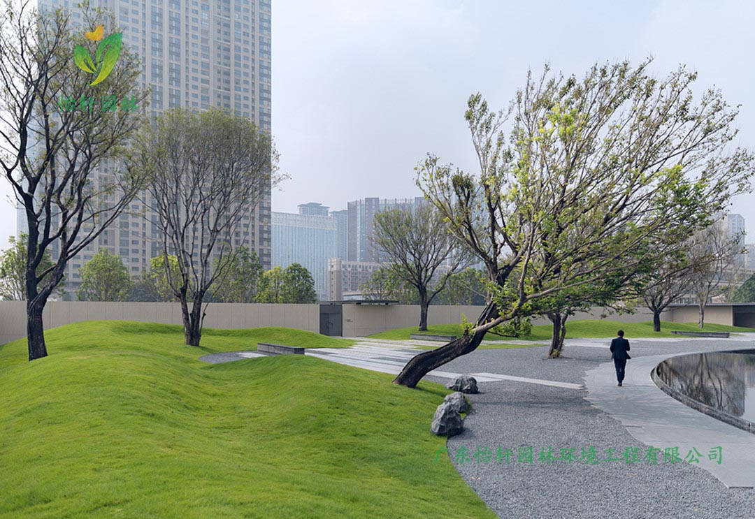 景觀(guān)設(shè)計(jì)中草坪的使用功能