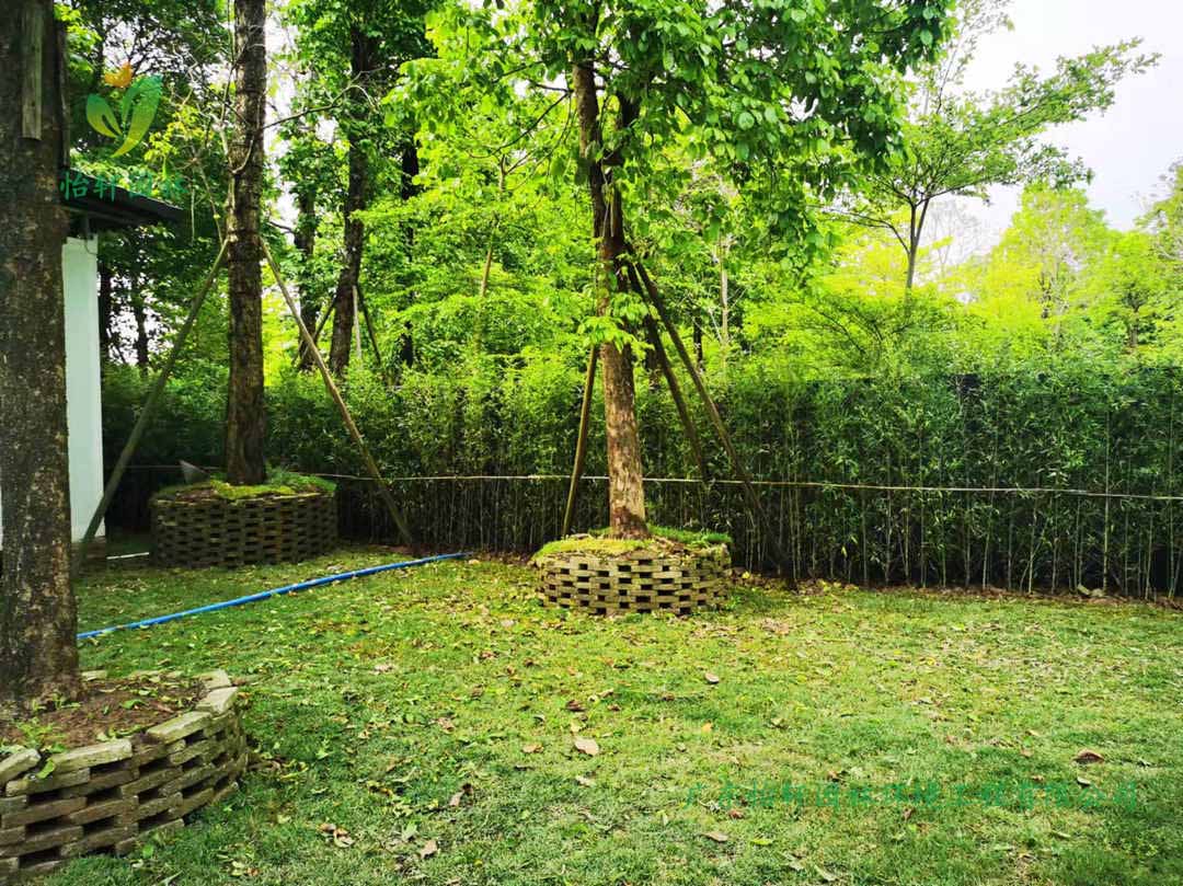 番禺露營(yíng)基地綠化工程種植完成后的效果展示