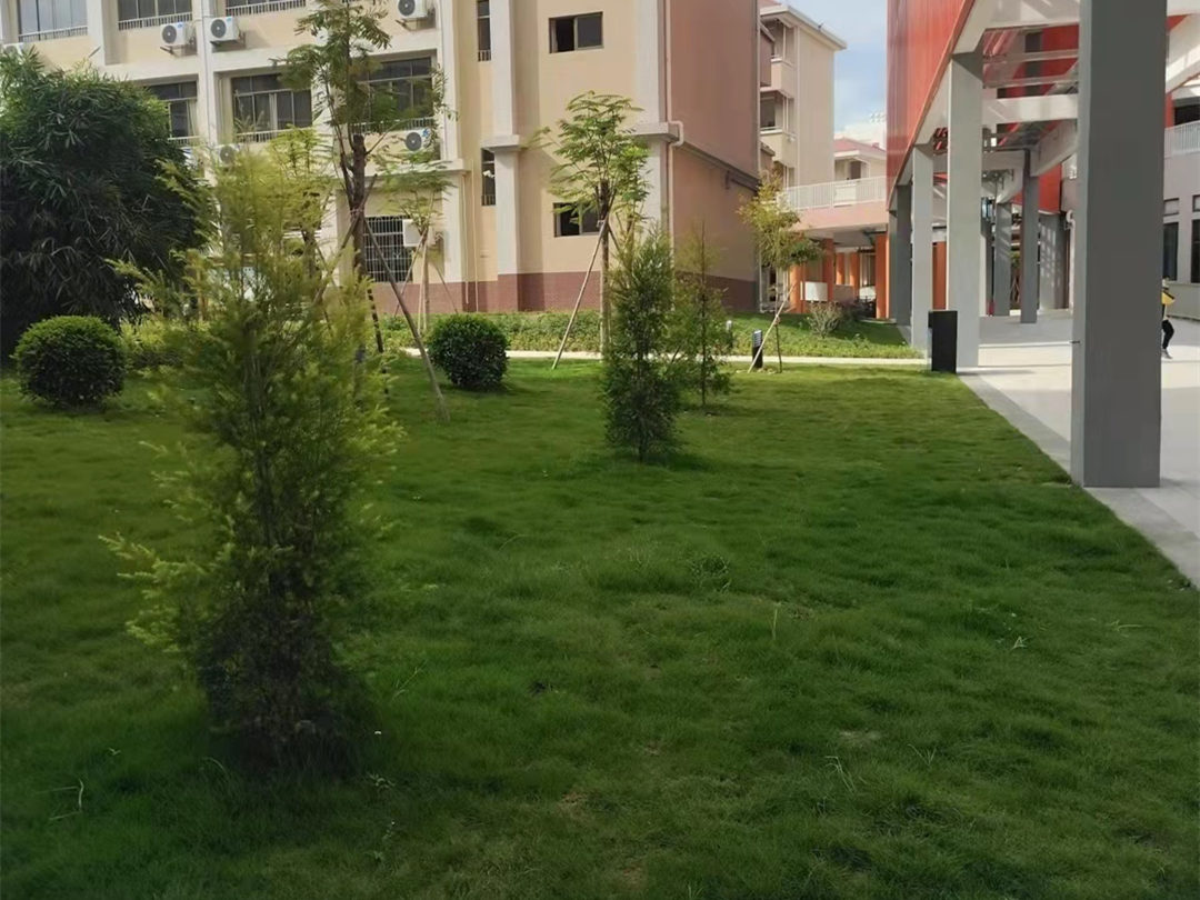 園林綠化工程草坪種植過程中關于狗牙根混播黑麥草方法如下：