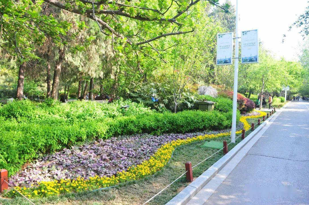 城市干道景觀設(shè)計