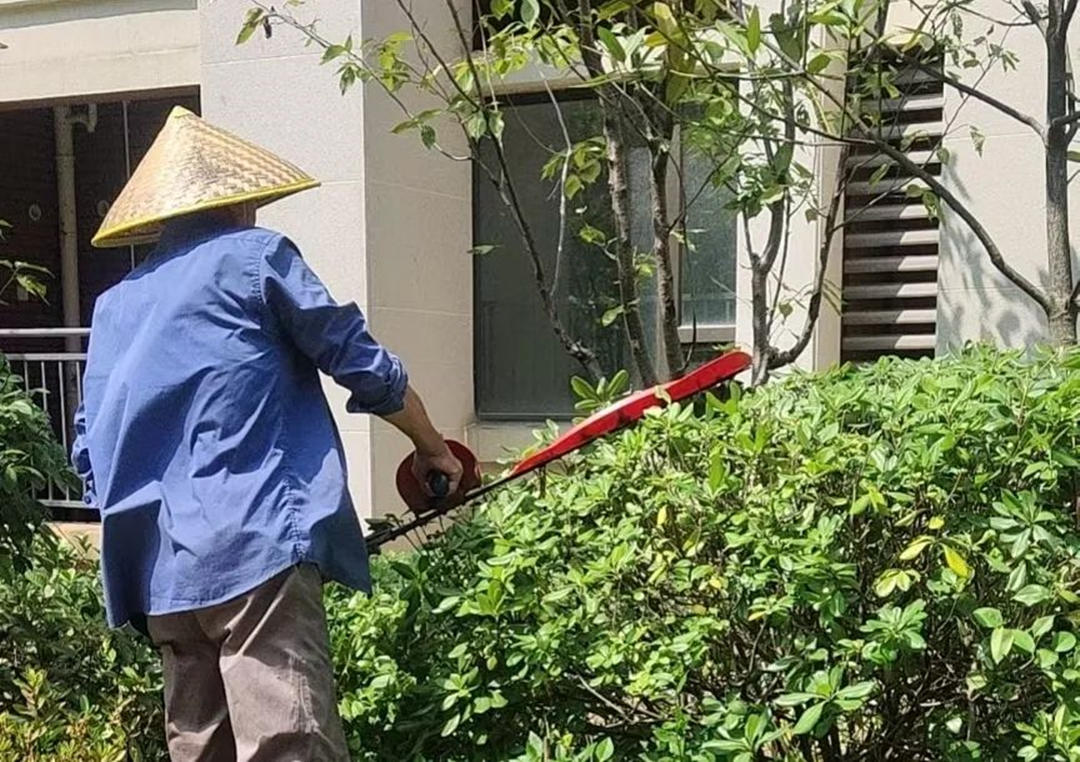 園林綠化養(yǎng)護抹芽