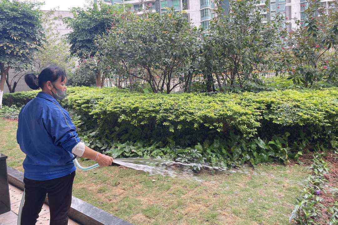 小區(qū)綠化養(yǎng)護(hù)澆水