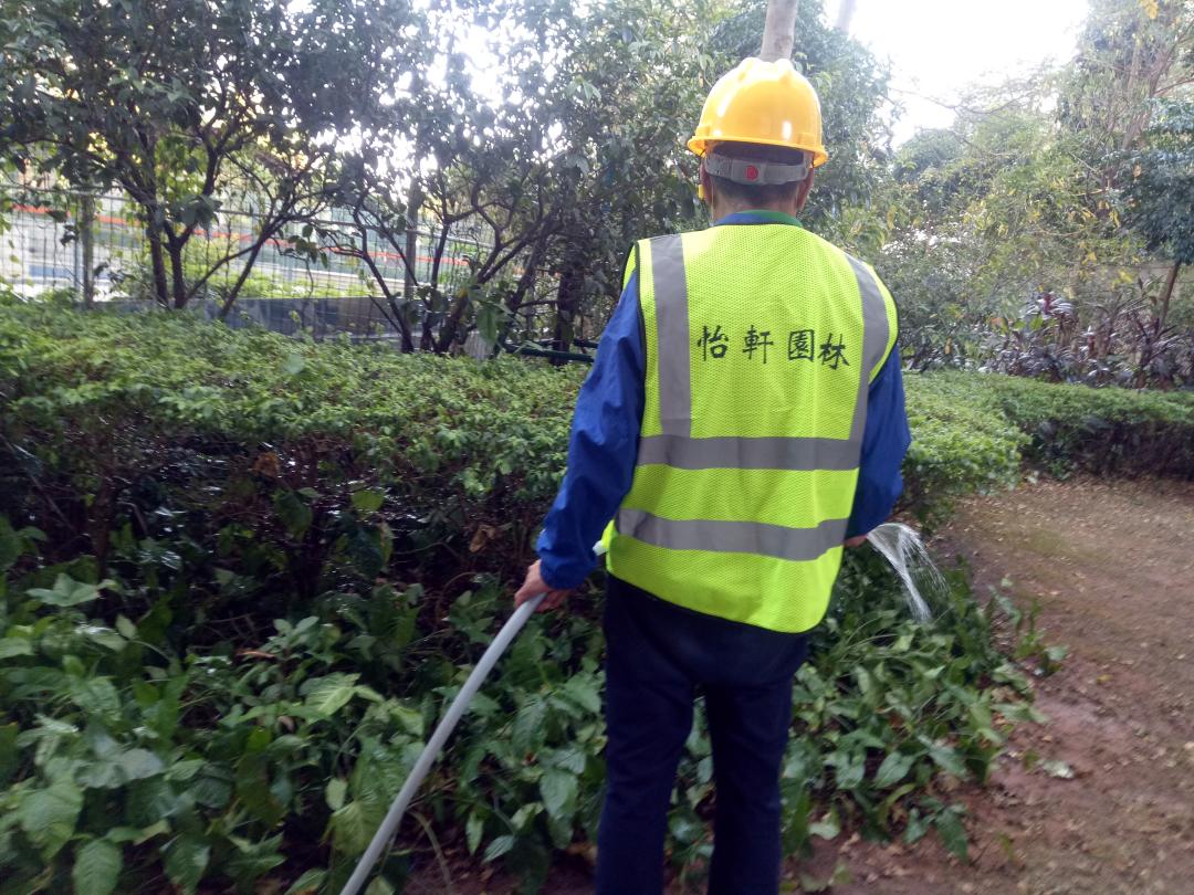 小區(qū)綠化養(yǎng)護(hù)澆水