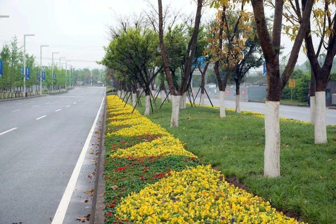 道路綠化設(shè)計(jì)原則