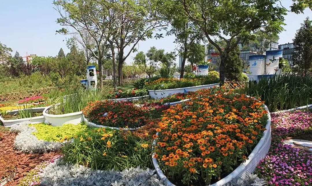 低碳花園景觀設(shè)計(jì)