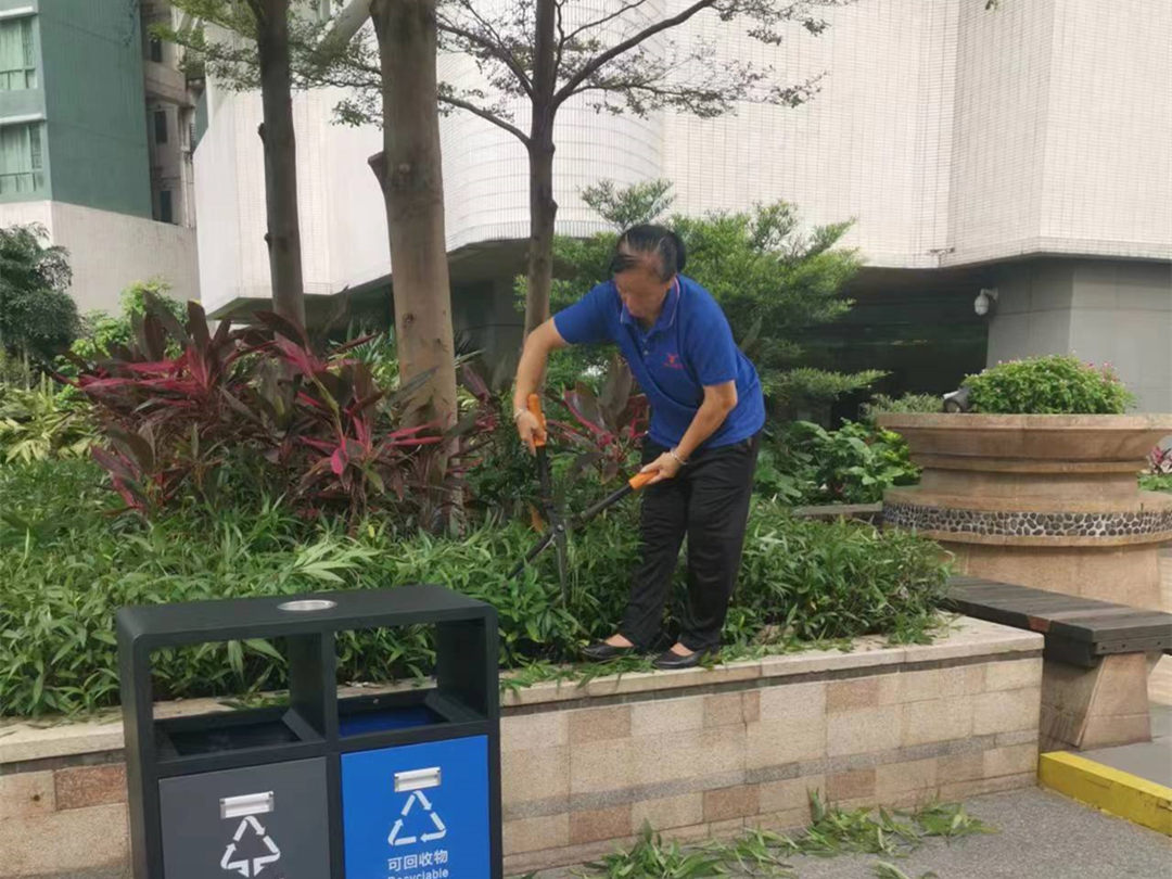 園林綠化養(yǎng)護指南