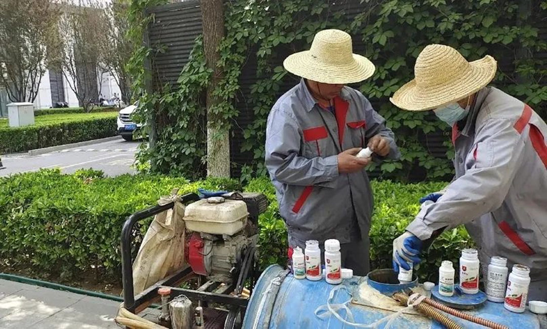 園林綠化養(yǎng)護(hù)中關(guān)于藥劑混用的注意事項(xiàng)