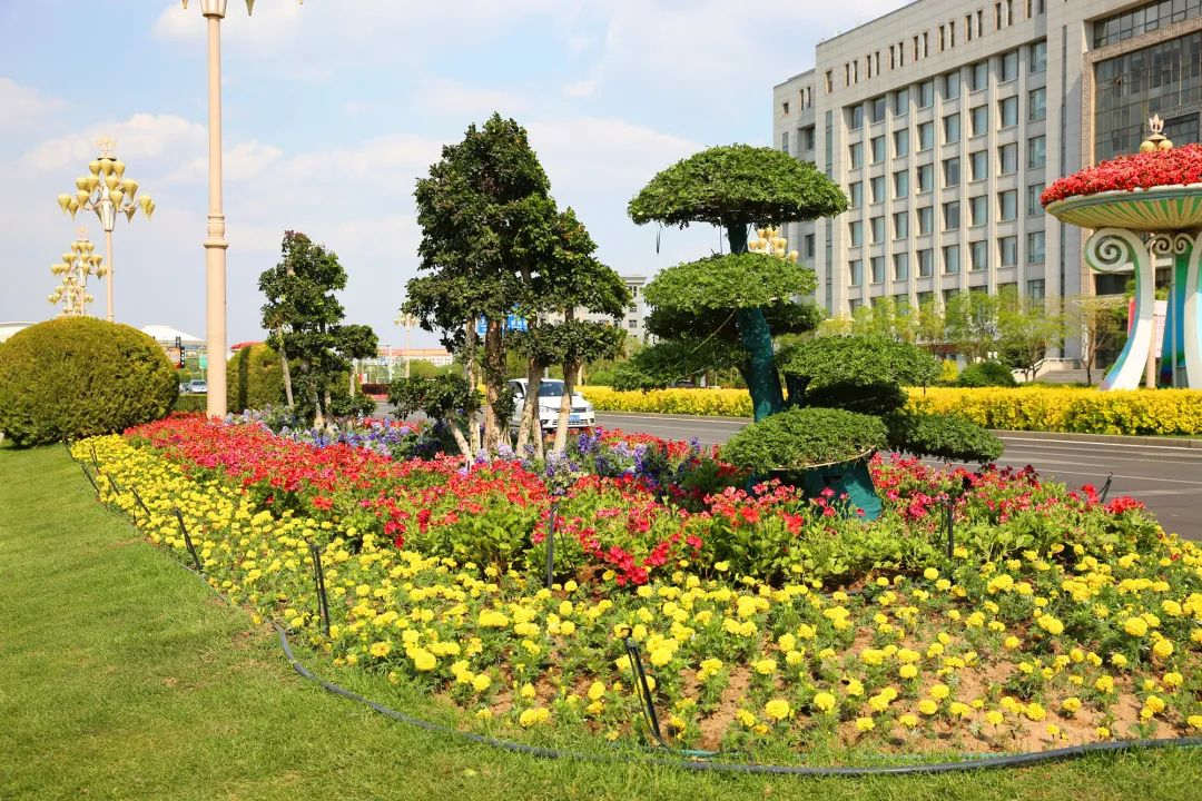 園林景觀(guān)設(shè)計(jì)植物配置