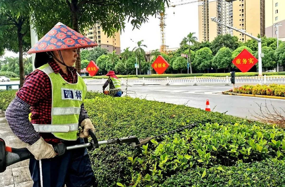 園林綠化養(yǎng)護(hù)修剪