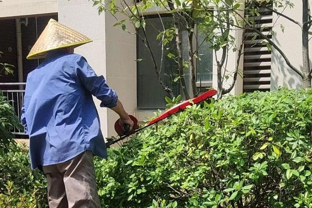廠區(qū)綠化養(yǎng)護修剪