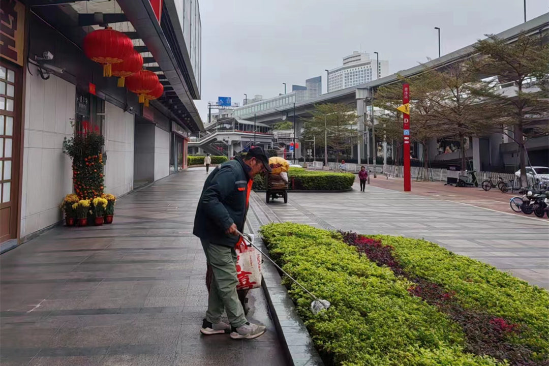 節(jié)后園林綠化養(yǎng)護(hù)綠化帶清理